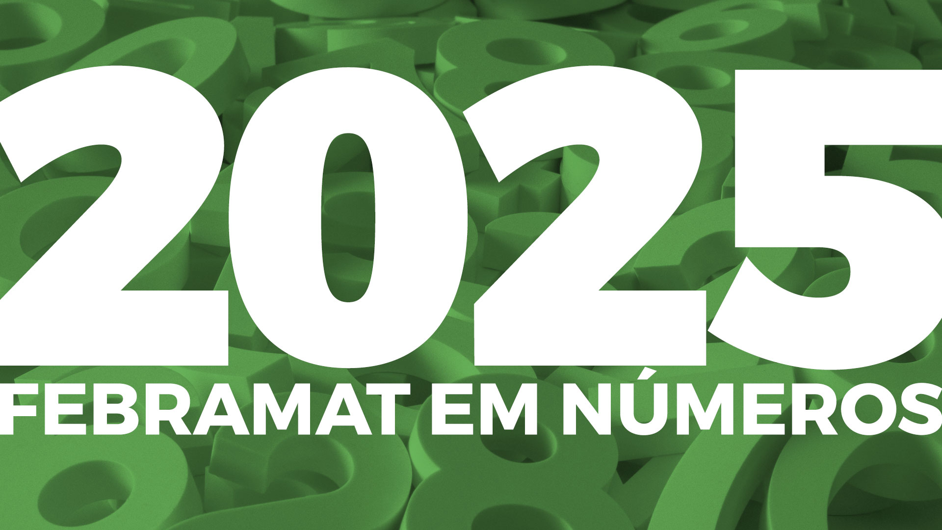 Leia mais sobre o artigo <strong>Balanço 2025: muitos negócios realizados pelas redes da Febramat</strong>